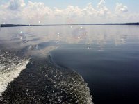 photos 2000-200902893